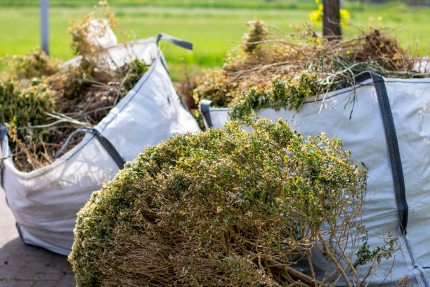 Best Furniture Removal  in Marion, WI